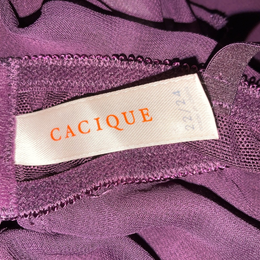 Plus Size Lingerie - Picture 7 of 8